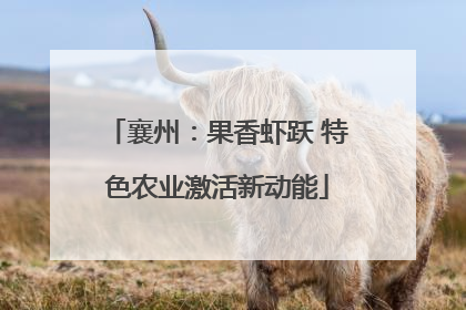 襄州：果香虾跃 特色农业激活新动能