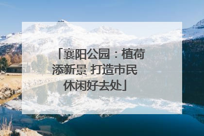 襄阳公园：植荷添新景 打造市民休闲好去处