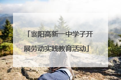 襄阳高新一中学子开展劳动实践教育活动