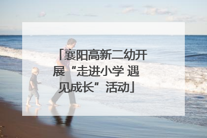 襄阳高新二幼开展“走进小学 遇见成长”活动