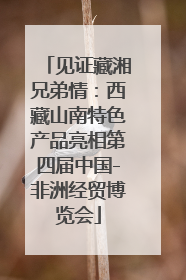 见证藏湘兄弟情：西藏山南特色产品亮相第四届中国-非洲经贸博览会