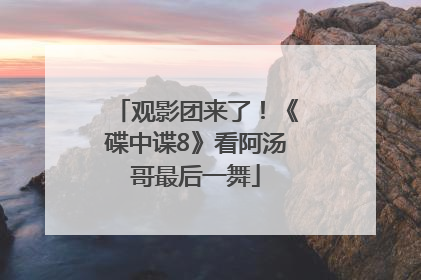 观影团来了！《碟中谍8》看阿汤哥最后一舞