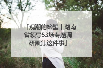 观潮的螃蟹丨湖南省领导53场专题调研聚焦这件事