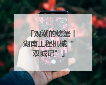观潮的螃蟹丨湖南工程机械“双城记”