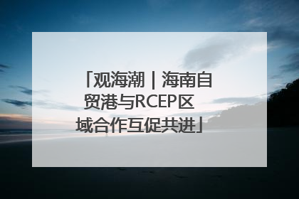 观海潮｜海南自贸港与RCEP区域合作互促共进