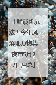 解锁新玩法！今年凤溪地万物集夜市5月27日启幕