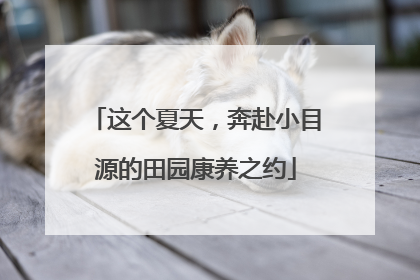 这个夏天，奔赴小目源的田园康养之约