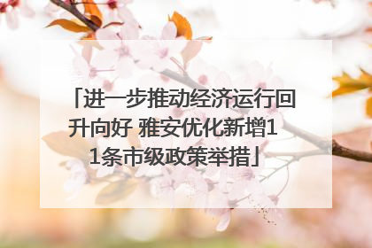 进一步推动经济运行回升向好 雅安优化新增11条市级政策举措