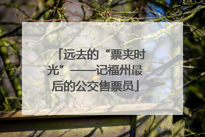 远去的“票夹时光”——记福州最后的公交售票员