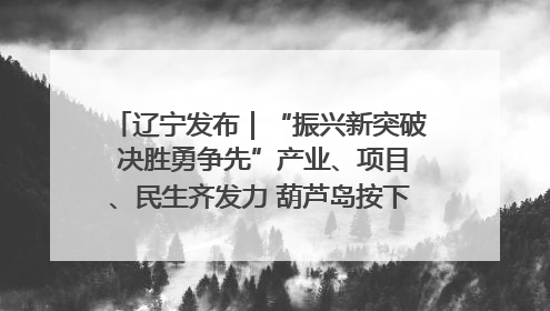 辽宁发布｜“振兴新突破 决胜勇争先”产业、项目、民生齐发力 葫芦岛按下决胜之年“加速键”