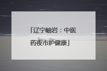 辽宁岫岩：中医药夜市护健康