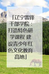 辽宁雷锋干部学院：打造特色研学课程 建设青少年红色文化教育高地