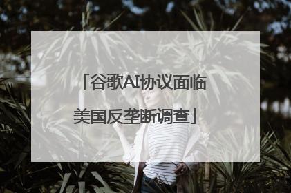 谷歌AI协议面临美国反垄断调查