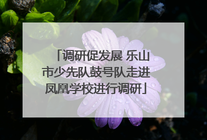 调研促发展 乐山市少先队鼓号队走进凤凰学校进行调研
