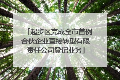起步区完成全市首例合伙企业直接转型有限责任公司登记业务