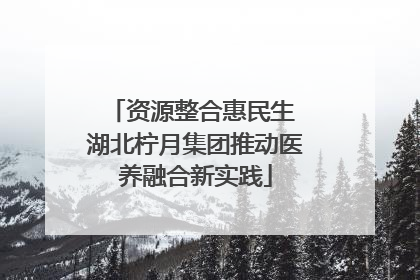 资源整合惠民生 湖北柠月集团推动医养融合新实践