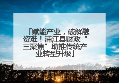 赋能产业，破解融资难！浦江县财政“三聚焦”助推传统产业转型升级