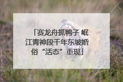 赛龙舟抓鸭子 岷江青神段千年东坡婚俗“活态”重现