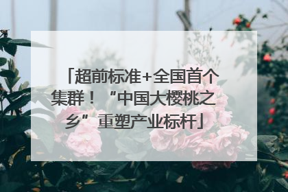 超前标准+全国首个集群！“中国大樱桃之乡”重塑产业标杆