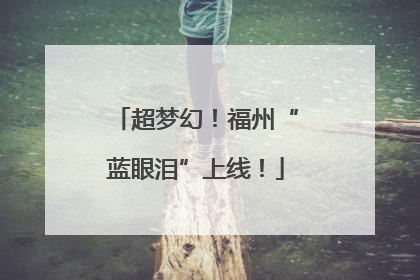超梦幻！福州“蓝眼泪”上线！
