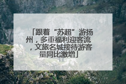 跟着“苏超”游扬州，多重福利迎客流，文旅名城接待游客量同比激增