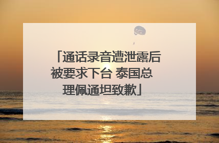 通话录音遭泄露后被要求下台 泰国总理佩通坦致歉