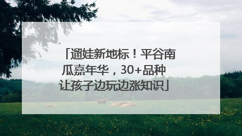 遛娃新地标！平谷南瓜嘉年华，30+品种让孩子边玩边涨知识