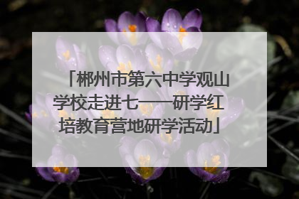 郴州市第六中学观山学校走进七一一研学红培教育营地研学活动
