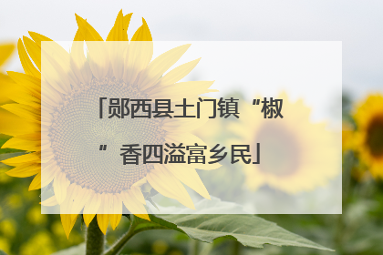 郧西县土门镇“椒”香四溢富乡民