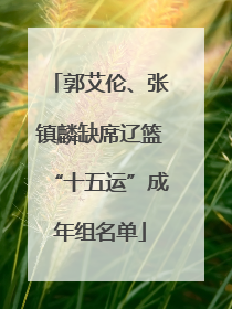 郭艾伦、张镇麟缺席辽篮“十五运”成年组名单