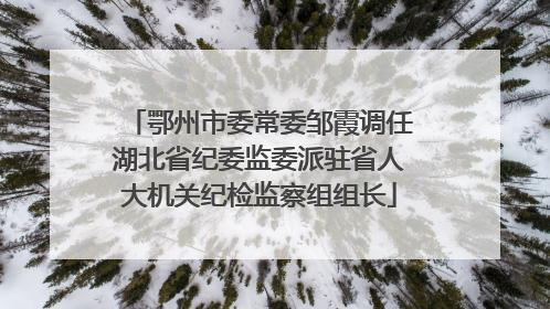 鄂州市委常委邹霞调任湖北省纪委监委派驻省人大机关纪检监察组组长