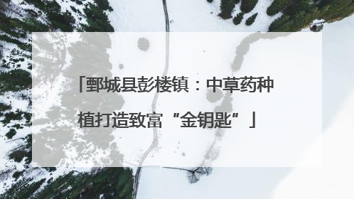 鄄城县彭楼镇：中草药种植打造致富“金钥匙”