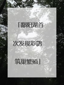 鄱阳湖首次发现彩鹮筑巢繁殖