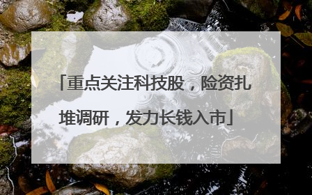 重点关注科技股，险资扎堆调研，发力长钱入市