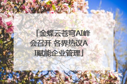 金蝶云苍穹AI峰会召开 各界热议AI赋能企业管理