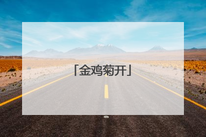 金鸡菊开