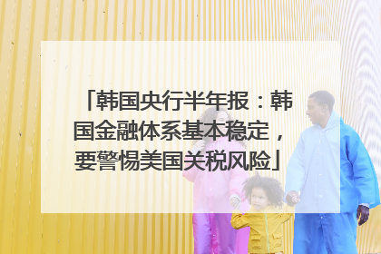 韩国央行半年报：韩国金融体系基本稳定，要警惕美国关税风险