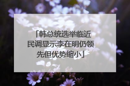 韩总统选举临近 民调显示李在明仍领先但优势缩小