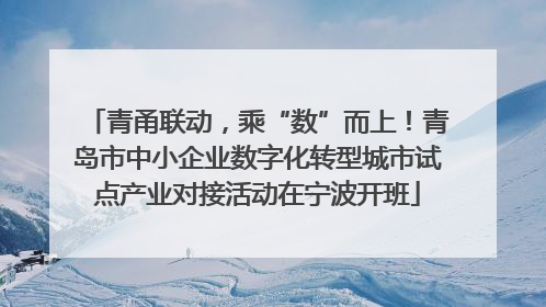 青甬联动，乘“数”而上！青岛市中小企业数字化转型城市试点产业对接活动在宁波开班