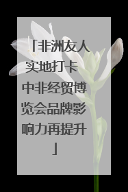 非洲友人实地打卡 中非经贸博览会品牌影响力再提升