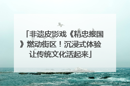 非遗皮影戏《精忠报国》燃动街区！沉浸式体验让传统文化活起来