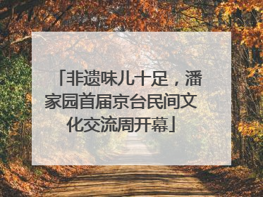 非遗味儿十足，潘家园首届京台民间文化交流周开幕