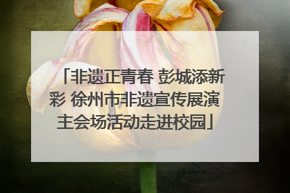 非遗正青春 彭城添新彩 徐州市非遗宣传展演主会场活动走进校园