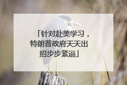 针对赴美学习，特朗普政府天天出招步步紧逼