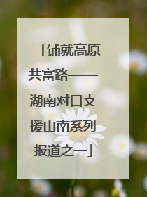 铺就高原共富路——湖南对口支援山南系列报道之一