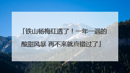 铁山杨梅红透了！一年一遇的酸甜风暴 再不来就真错过了