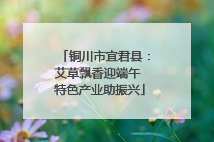 铜川市宜君县：艾草飘香迎端午 特色产业助振兴