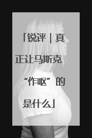 锐评｜真正让马斯克“作呕”的是什么