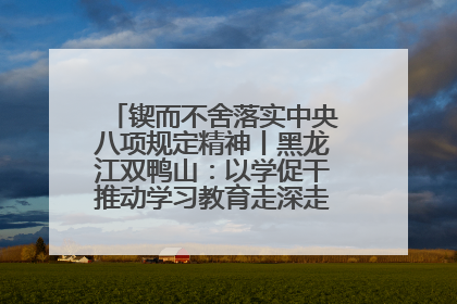 锲而不舍落实中央八项规定精神丨黑龙江双鸭山：以学促干推动学习教育走深走实 从小事入手写好“民生答卷”