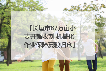 长垣市87万亩小麦开镰收割 机械化作业保障夏粮归仓